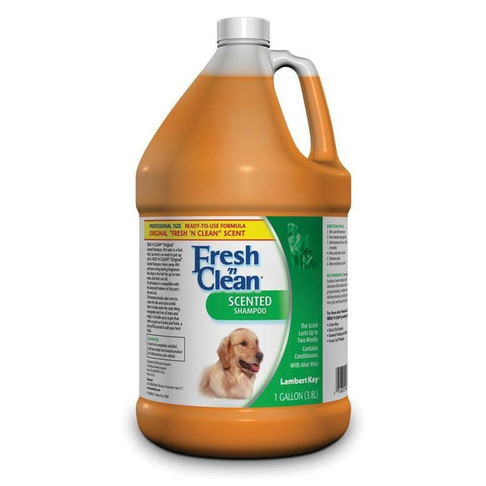 FRESH N CLEAN SCENTED SHAMPOO