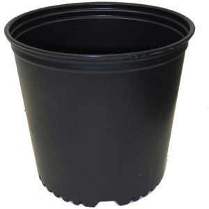 BLACK NURSERY POT 2 GAL