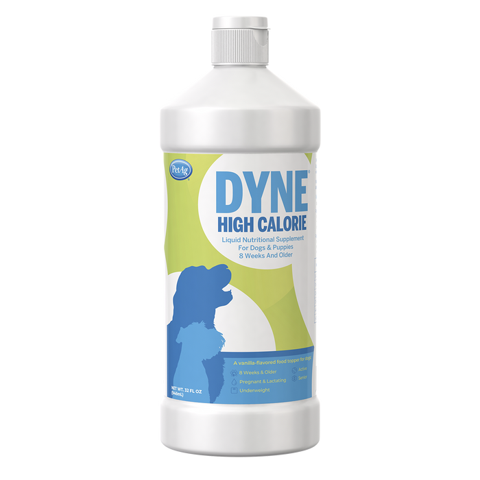 DYNE 16OZ