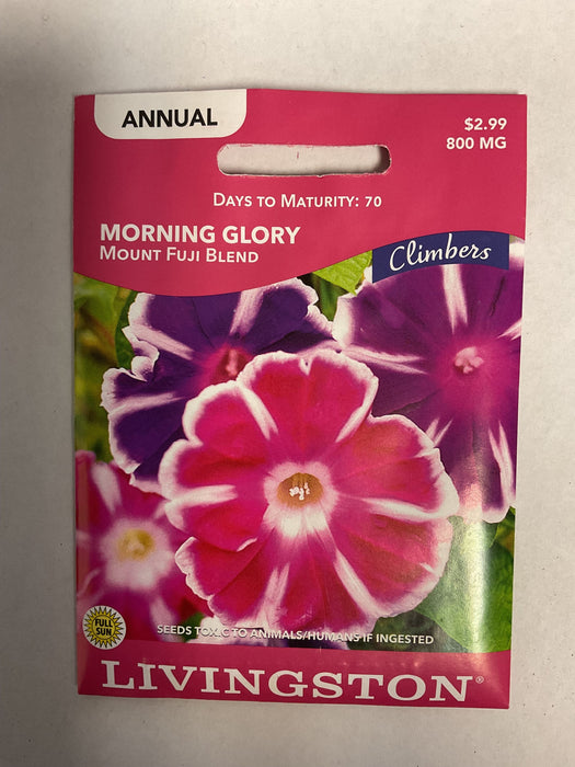MORNING GLORY MOUNT FUJI BLEND