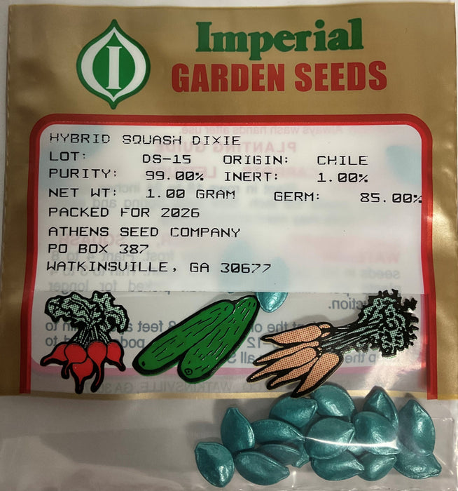 DIXIE HYBRID SQUASH 1.0 GRAM