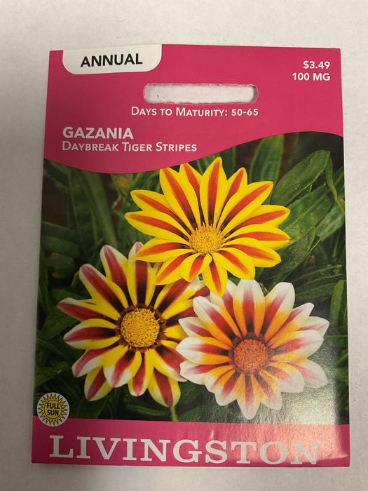 GAZANIA DAYBREAK TIGER STRIPES