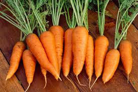 DANVERS CARROT1#