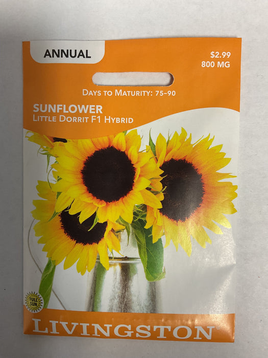 SUNFLOWER LITTLE DORRIT F1 HYB