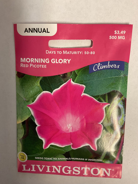 MORNING GLORY RED PICOTEE