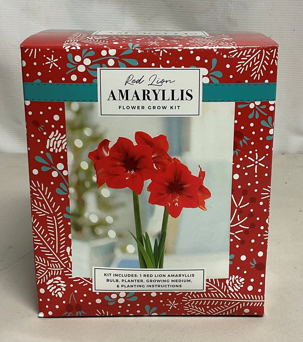 AMARYLLIS/PAPERWHITE BULB KIT
