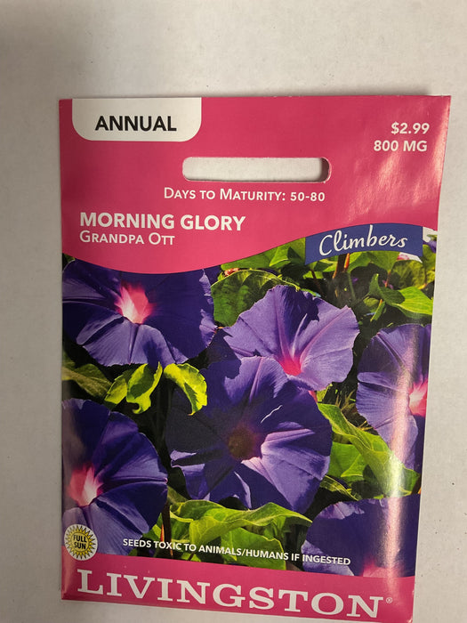 MORNING GLORY GRANDPA OTT