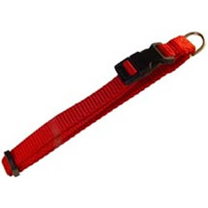 24 &26 IN COLLAR NYLON ASSORT
