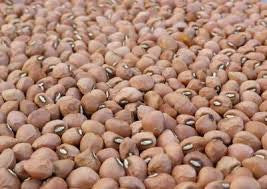 P,HULL KNUCKLEHULL PEAS 1#