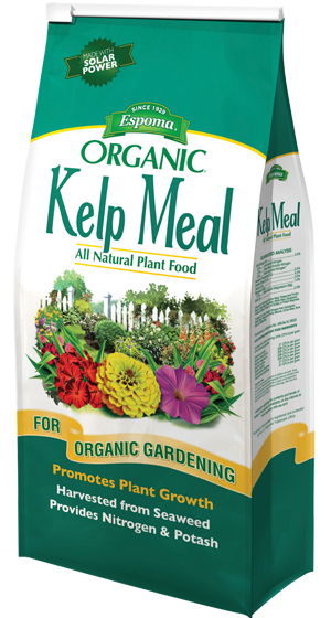 ESPOMA-KELP MEAL 4#