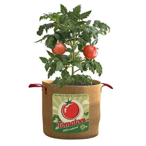 20 GALLON TOMATO GROW BAG