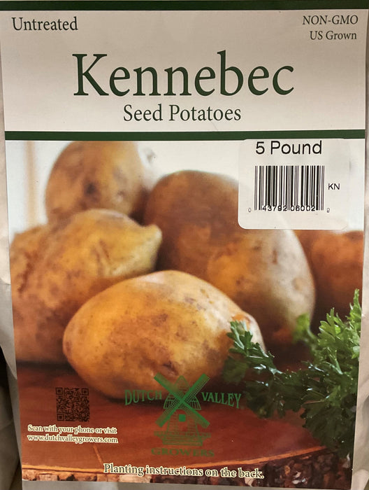 POTATO-WHITE KENNEBEC 5#