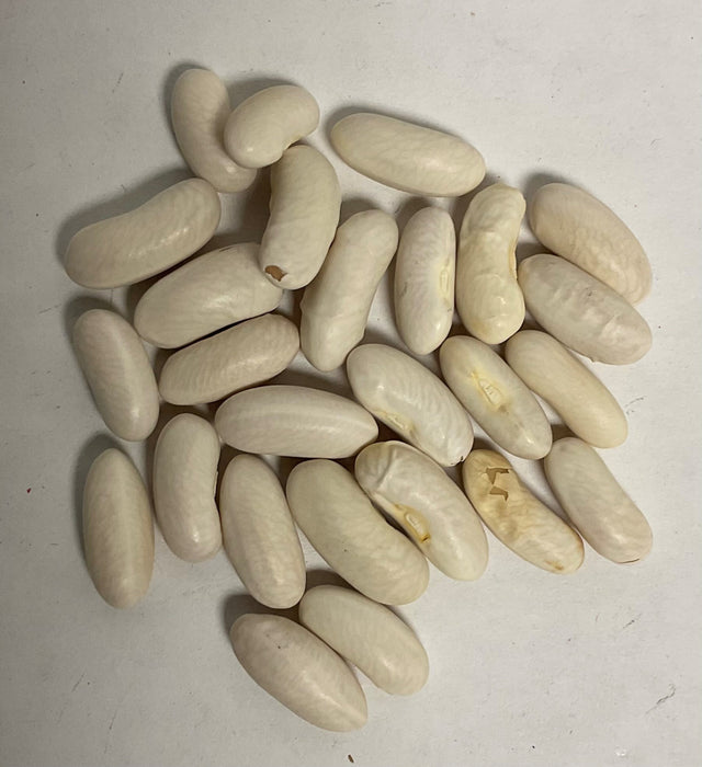 BLUE LAKE BUSH BEAN 50#