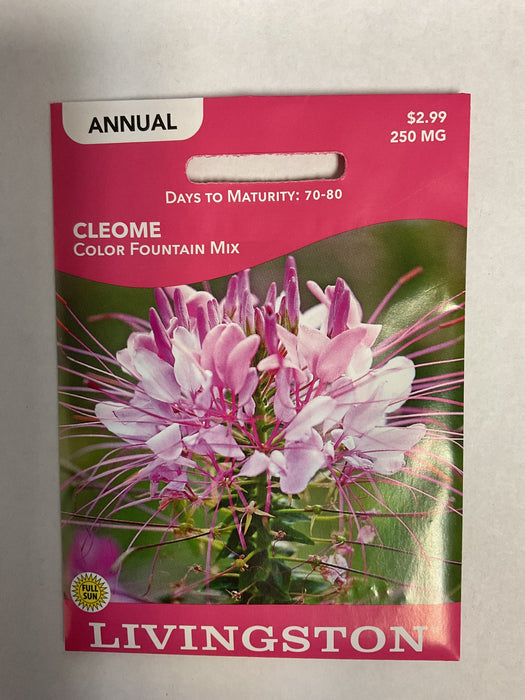 CLEOME COLOR FOUNTAIN MIX