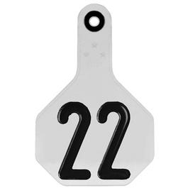 Y TEX WHITE 1-25