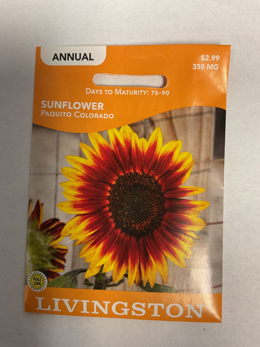 SUNFLOWER PAQUITO COLORADO