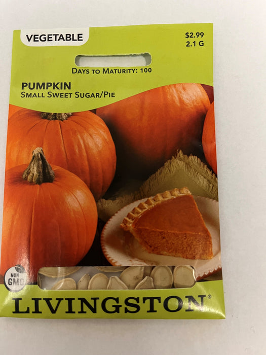PUMPKIN SMALL SWEET SUGAR PIE