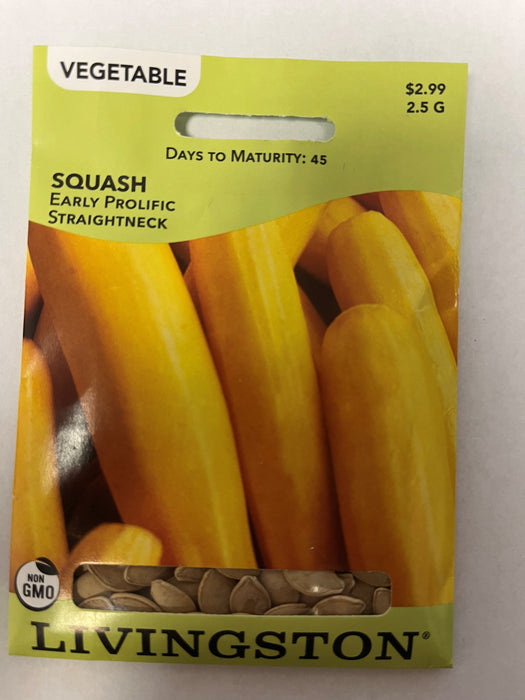 SQUASH STRAIGHTNECK