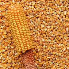 REIDS YELLOW DENT CORN 50#