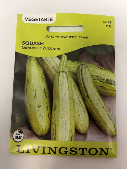 SQUASH - GENOVESE ZUCCHINI