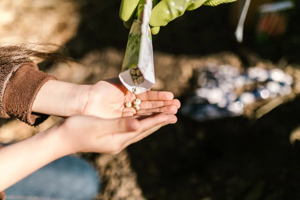 Garden Seed