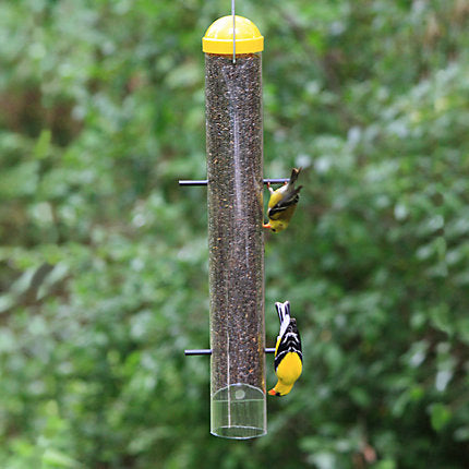 PP 398 UPSIDE DOWN GOLDFINCH