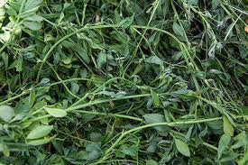 BLUE MOUNTAIN ALFALFA HAY 50#