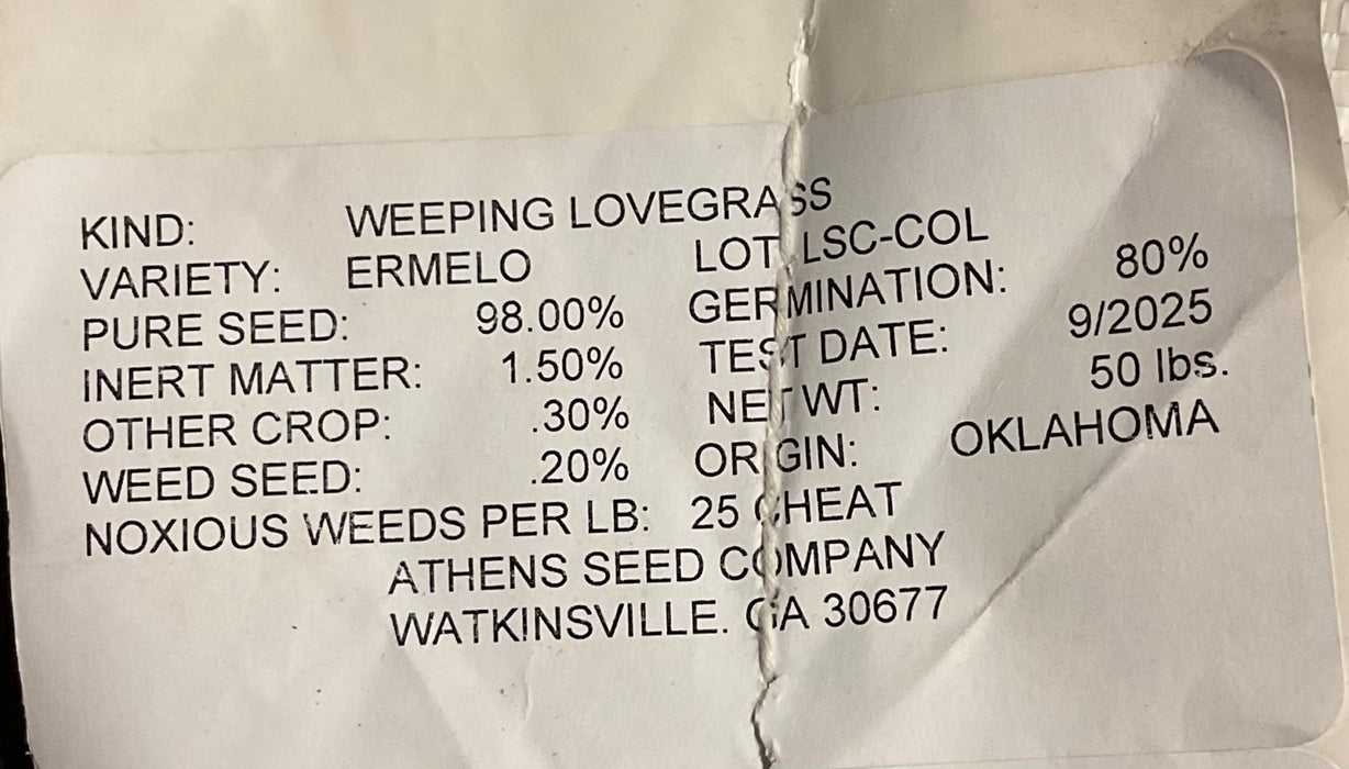 WEEPING LOVEGRASS 50#
