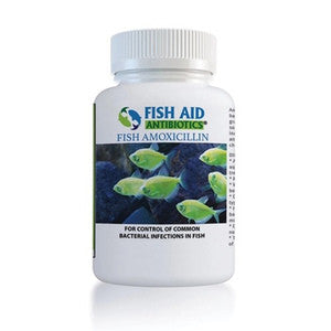 FIN MOX 500MG AMOXICILLIN
