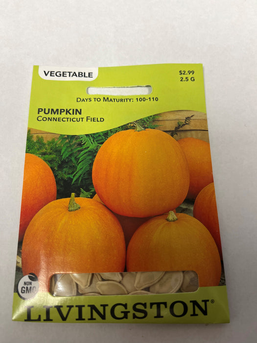 PUMPKIN - CONNECTICUT FIELD