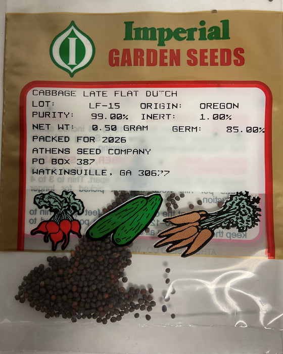 LATE FLAT DUTCH CABBAGE .5 GRA