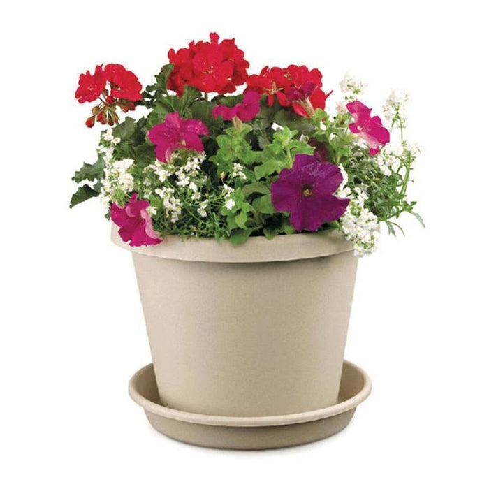 CLASSIC POT CLAY 6" PLASTIC