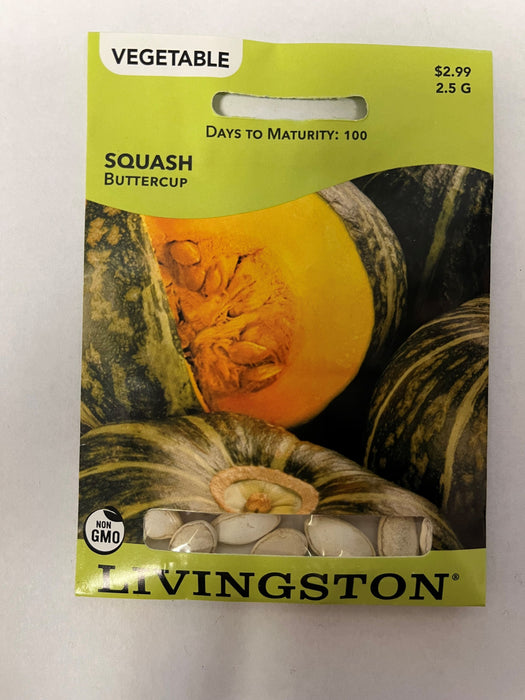 SQUASH - BUTTERCUP