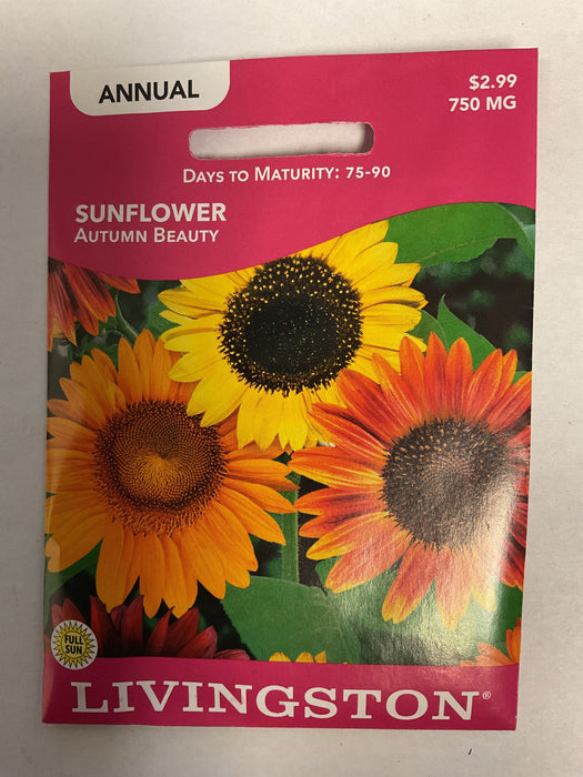 SUNFLOWER AUTUMN BEAUTY