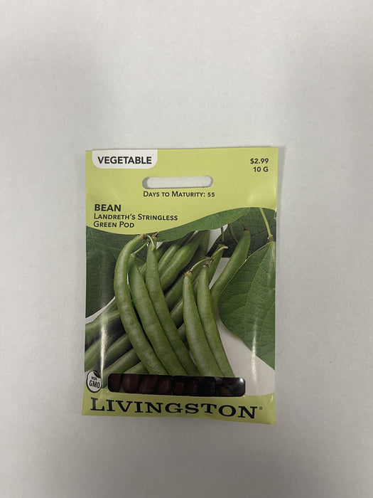 BEAN STRINGLESS GREEN POD
