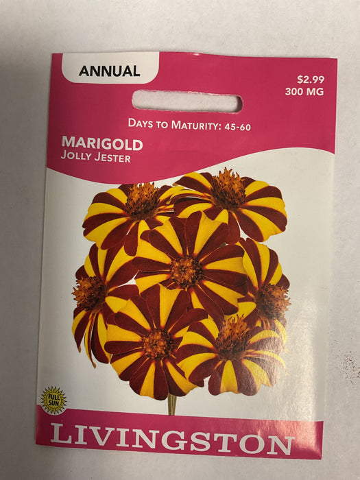 MARIGOLD JOLLY JESTER 300MG