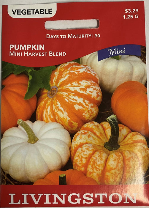 MINI HARVEST BLEND PUMPKIN