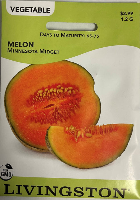 MELON - MINNESOTA MIDGET