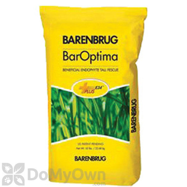 FESCUE-BAROPTIMA PLUS 25#