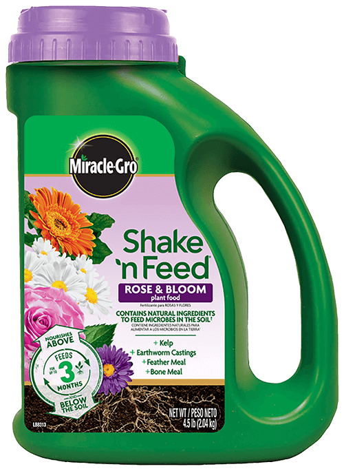 MG-SHAKE 'N FEED ROSE & BLOOM