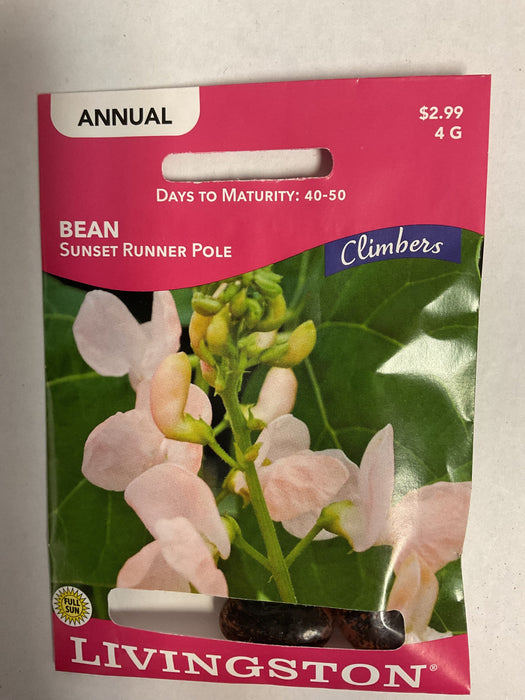 BEAN SUNSET RUNNER POLE