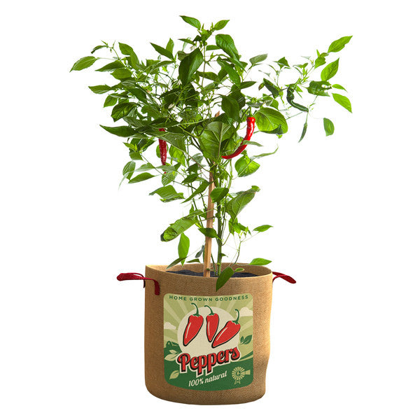 10 GALLON PEPPER GRO BAG