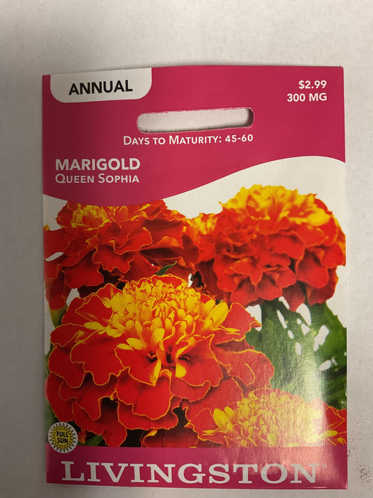 MARIGOLD QUEEN SOPHIA 300MG