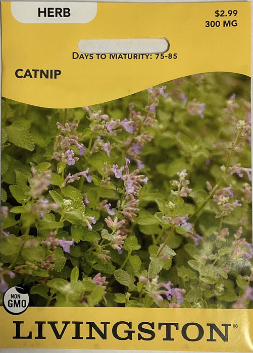CATNIP 300MG
