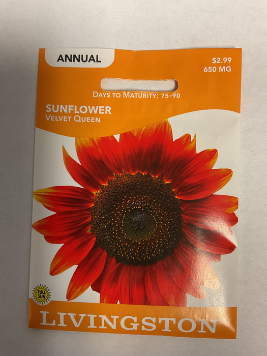 SUNFLOWER VELVET QUEEN