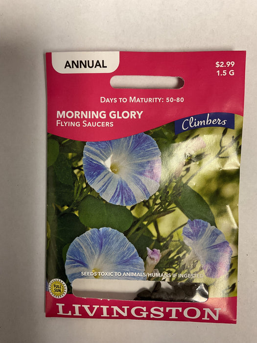 MORNING GLORY FLYING SAUCERS