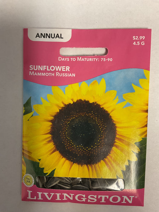 SUNFLOWER MAMMOTH RUSSIAN