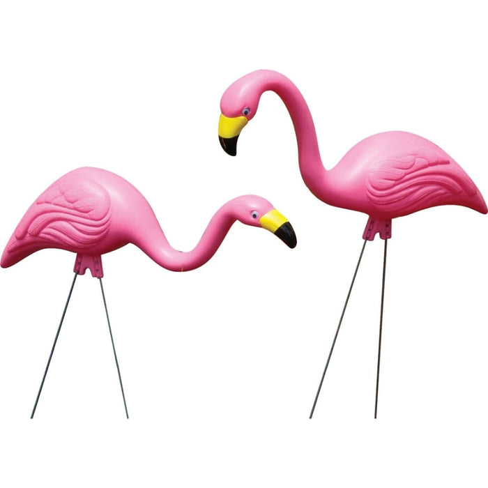 BLOEM PINK FLAMINGO 2 PK G2