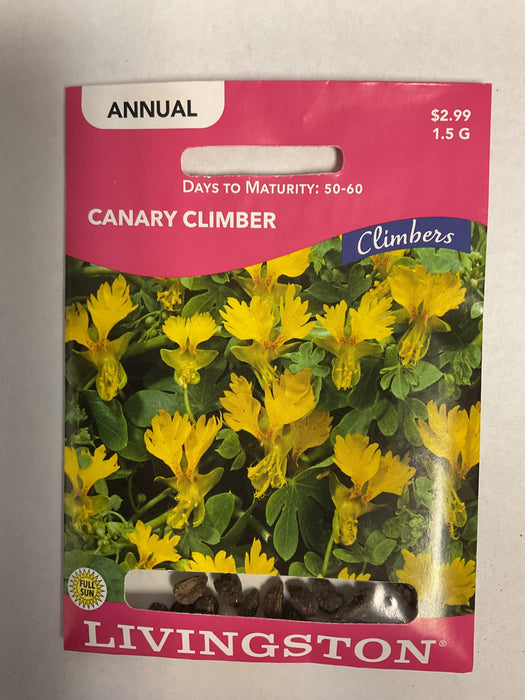 CANARY CLIMBER 1.5G