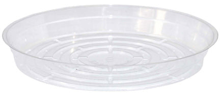 CURTIS WAGNER 12" CLEAR SAUCER